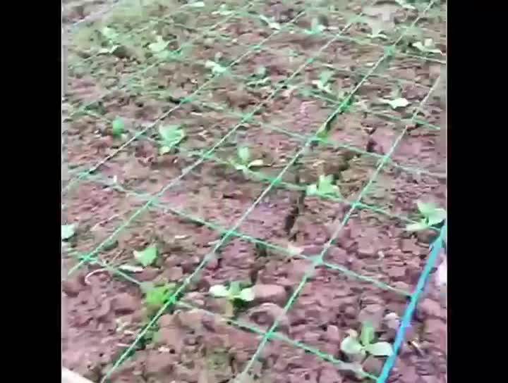 Polyethylene Gardening Plastic Net,Cucumber Net,Melon Climbing Net