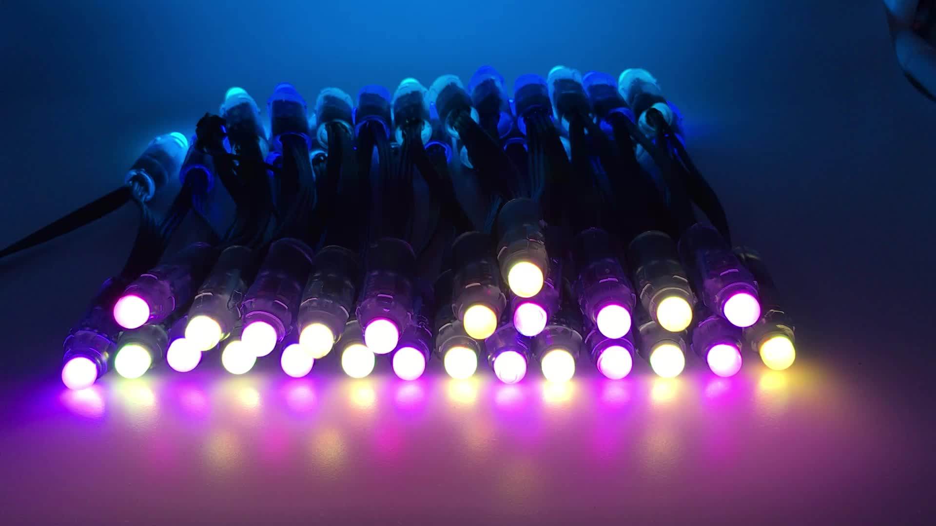 Epistar Pixel Led Light Ws2811 12mm Full Colors With Factory Bottom