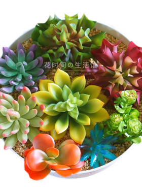 仿真多肉植物盆栽套装摆件装饰品