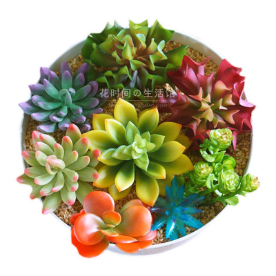 仿真多肉植物盆栽套装摆件装饰品