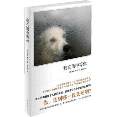 当当网 我在雨中等你 加思斯坦著 历久弥新的温情之作升级精装典藏版 透过小狗恩佐的眼睛记录人间的冷暖与爱恨的真谛外国小说正版