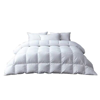 国标大朵衣服制品填充物包邮羽绒