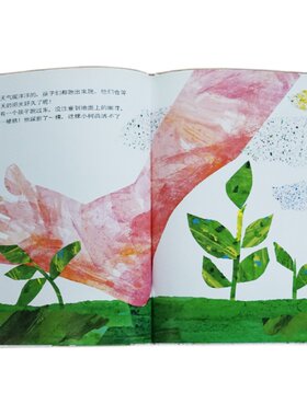 信谊图书旗舰店种子绘本精装硬壳