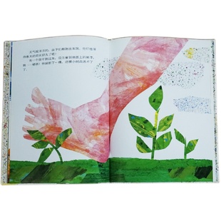 【信谊图书旗舰店】小种子绘本精装硬壳艾瑞卡尔3-6-7周岁幼儿园大班绘本硬皮故事书正版启蒙早教绘本讲述生命延续价值