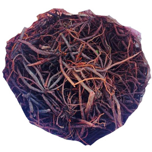 云南高山农家小红参野生小红参滇紫参新鲜小红参500克装 现挖发货