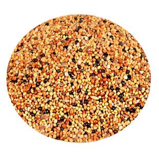 七彩文鸟 芙蓉鸟 金丝雀鸟 珍珠鸟芙蓉鸟玉鸟食混合鸟食鸟粮食物