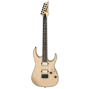 新款ibanez依班娜专业电吉他套装固定琴桥DIMARZIO拾音器RGEW521