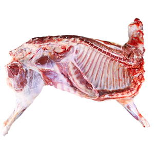 半只羊羔肉10斤重新鲜散装中国新疆草原放牧绵羊清真清炖烧烤包邮