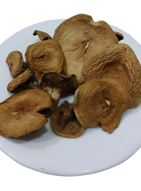 阿尔山特产碗蘑袋装纯野生食用菌