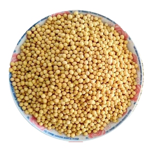 新豆东北农家自种笨黄豆黑龙江黑河大豆生豆芽打豆浆5斤