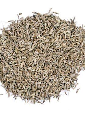 孜然种子孜然粉枯茗芹调味香料