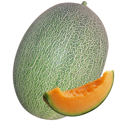 甜瓜新疆哈密瓜种子秧四季香瓜春季种籽孑春天苗南方网纹瓜苗秧苗