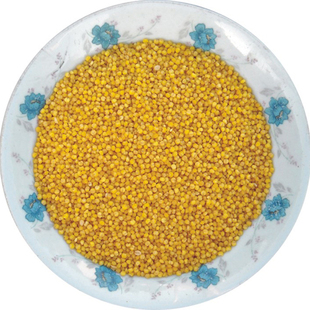 延安小米煮粥石碾香谷米米脂婆姨婴儿小黄米陕北农家2024年新