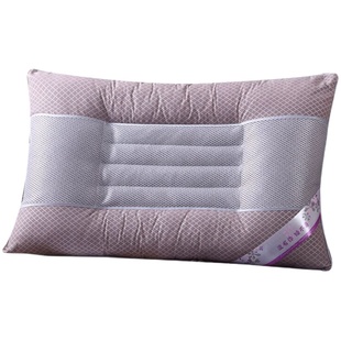决明子枕头 理疗枕 大人枕头芯护颈枕芯专用家用枕头套装一对成人