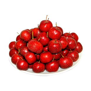 新鲜精品山楂大五棱大金星现货现发糖葫芦红果自然成熟无添加水果