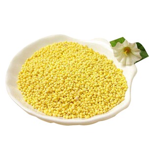 山西岚县特产大黄米软米农家糯小米包粽子米稠饭软黏黄米2斤装