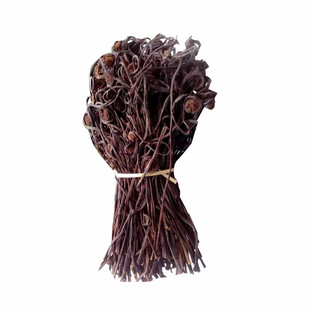 赤蕨干广宁特产野生蕨菜野菜干农家自晒干菜干货赤蕨干 250g