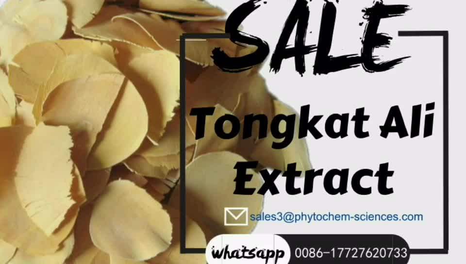 Tongkat Ali Indonesia Pure Herbal Powder Root Extract 200