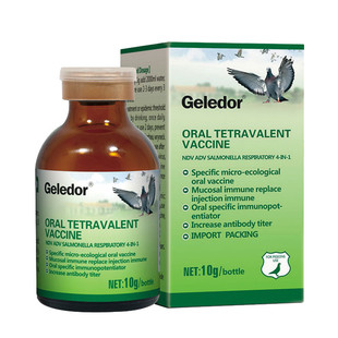 格莱德鸽药四联口服苗信鸽用疫苗新城疫腺病毒呼吸道沙门氏鸽子药