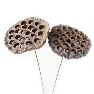 lmdec艺术自然风干莲蓬荷叶干花干枝花艺落地装饰花干果装饰品