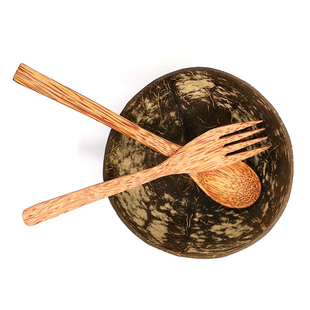 椰子碗甜品碗对半切隔预开盖半个椰壳网红彩虹昔水果冰淇淋椰子冻