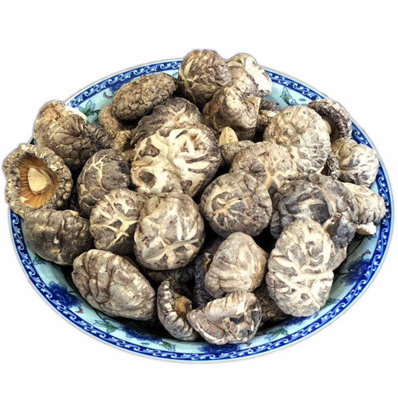 四川特产椴木500g包装小香菇