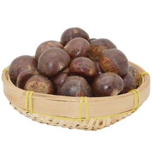 生板栗农家现摘新鲜生板栗正宗生油栗毛栗子5斤板栗大果板粟蔬菜