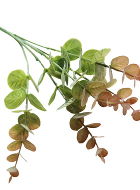 软胶绿色植物室内四季常青金钱叶