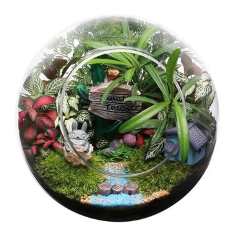 微景观斜口玻璃花瓶苔藓绿植