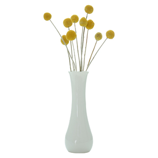 简约陶瓷花瓶透明玻璃水培花器小清新插干花北欧家用装饰客厅摆件