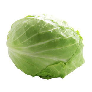 密农人家 鲜嫩圆白菜 新鲜绿甘蓝卷心菜 口感脆嫩 现砍包菜500g