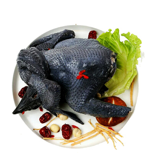 特价现杀泰和乌鸡正宗农家散养土鸡老母鸡月子汤放养乌鸡 乌骨鸡