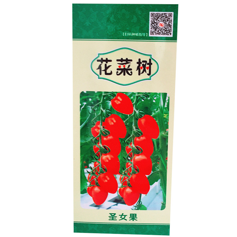 矮生盆栽樱桃水果番茄瀑布小番茄种子籽四季阳台种子蔬菜水果种籽