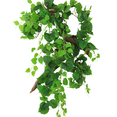 爬山虎吊顶装饰塑料绿萝管道藤条