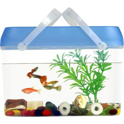宠物手提塑料幼儿园蝌蚪小鱼缸