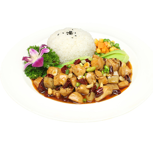 蒸烩煮料理包宫保鸡丁速食预制菜宫爆鸡丁商用香辣鸡肉丁速食简餐