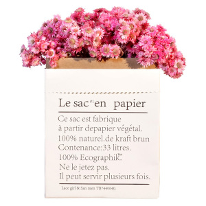 ins牛皮纸袋花盆雏菊干花花束真花装饰品干花摆件小清新家居摆设