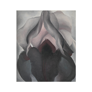黑色鸢尾花 Georgia O'Keeffe 欧姬芙艺术装饰画客厅书房玄关酒吧