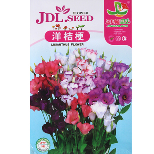 洋桔梗花种子易活花草植物春夏秋室内开花不断室外花种籽花卉盆栽