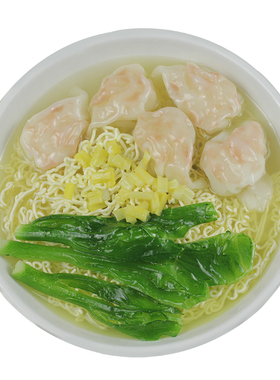 新款仿真食品馄饨模型装饰道具