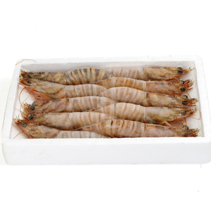 东海红明虾8-10头/500g 顺丰包邮江浙皖超速冻 哈鲜食谱生鲜超市