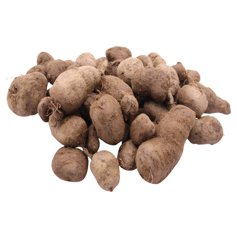 纯得恒采挖三叶青金线吊葫芦石老鼠蛇附子丝线吊金钟精选500g