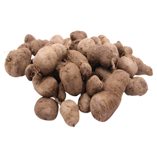 纯得恒采挖三叶青金线吊葫芦石老鼠蛇附子丝线吊金钟精选500g