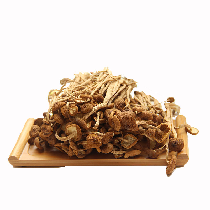 挑选过古田农产无硫不开伞茶树菇