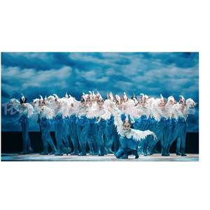 羽翼凌云儿童演出服装少儿群舞表演服饰男女童群舞原创舞蹈新品