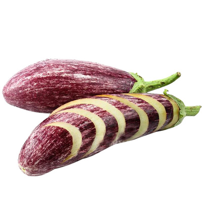 蔬菜泰国竹丝四季肉质嫩种子苗