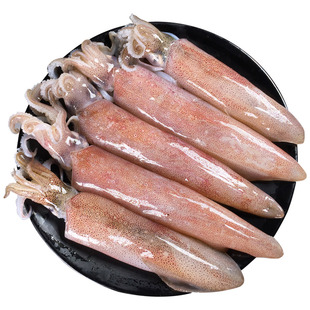 新鲜大鱿鱼鲜活海鲜水产冷冻笔管鱼尤鱼头深海乌贼烧烤海兔子