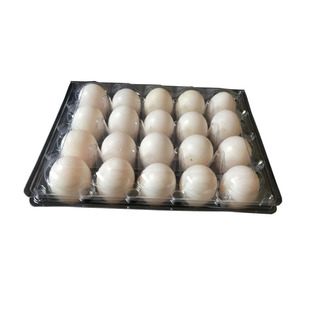 新品上市鸽子蛋吸塑包装盒20枚鹌鹑包泥皮蛋盒叶绿蛋托现货包货