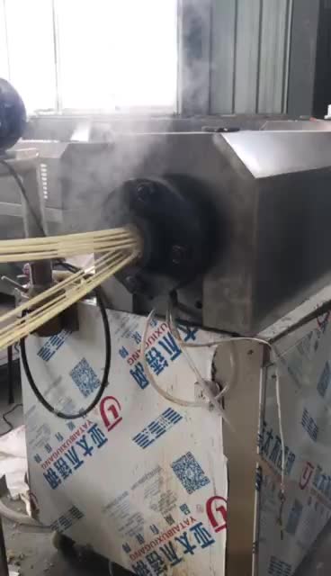 Tube Shape Snack Pellet Making Machine And Slanty Snacks Extruder Buy 