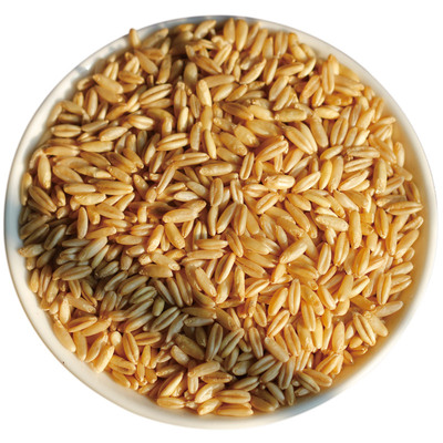 低温烘焙熟燕麦米磨粉打豆浆专用